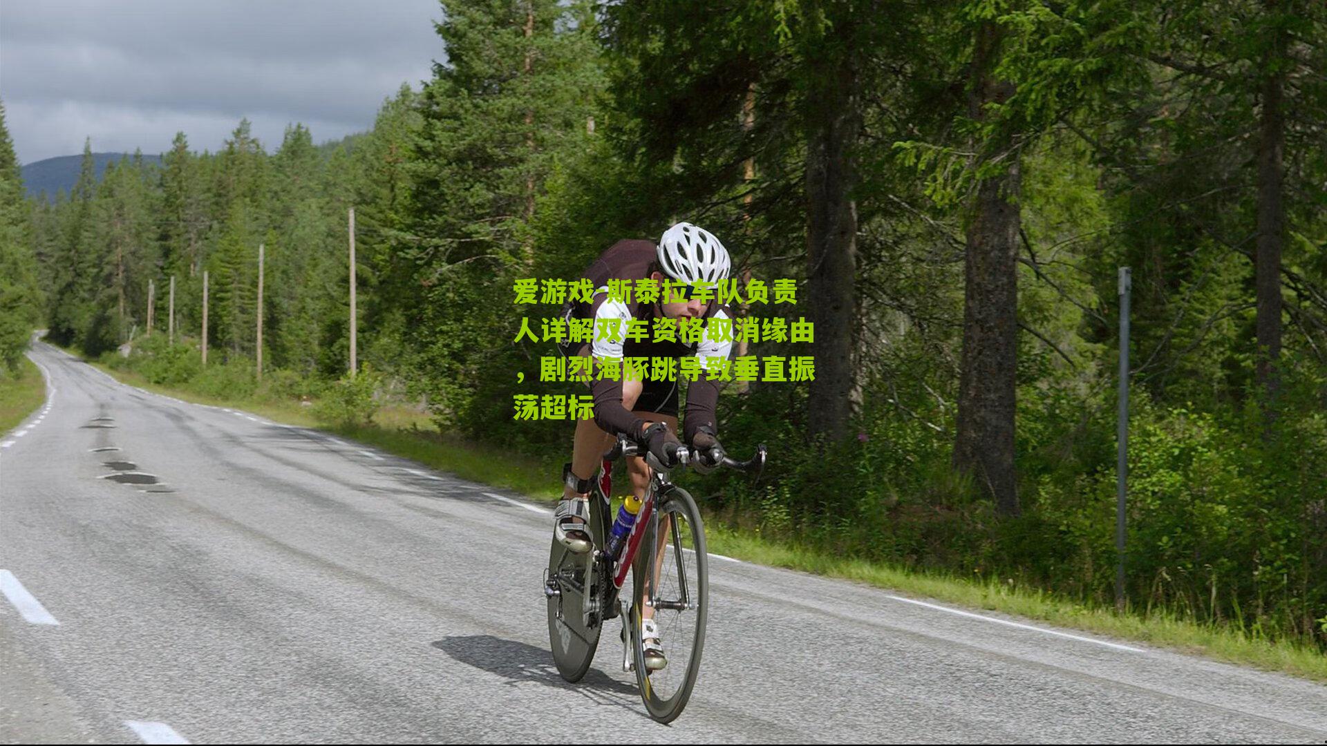 斯泰拉车队负责人详解双车资格取消缘由，剧烈海豚跳导致垂直振荡超标